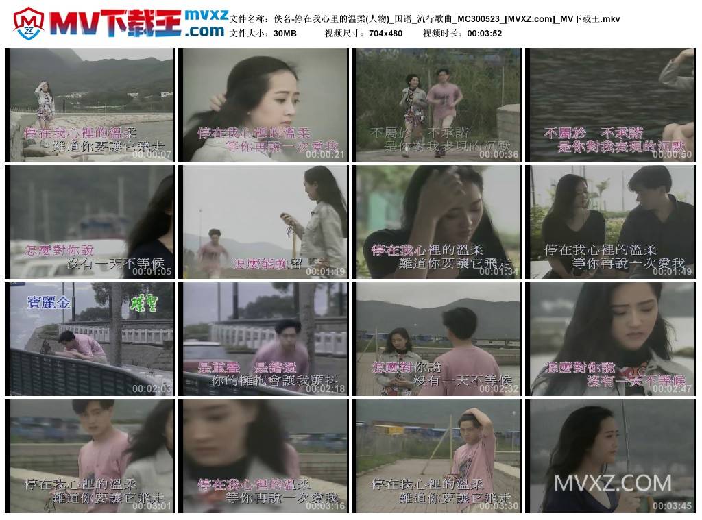 佚名-停在我心里的温柔(人物)_国语_流行歌曲_MC300523